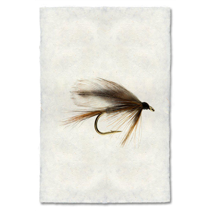 Adams fly fishing wall art print — fine art fly fishing photography on handmade paper, San Francisco