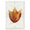 American Cranberry fall leaves wall art print — fine art botanical photography on handmade paper, San Francisco