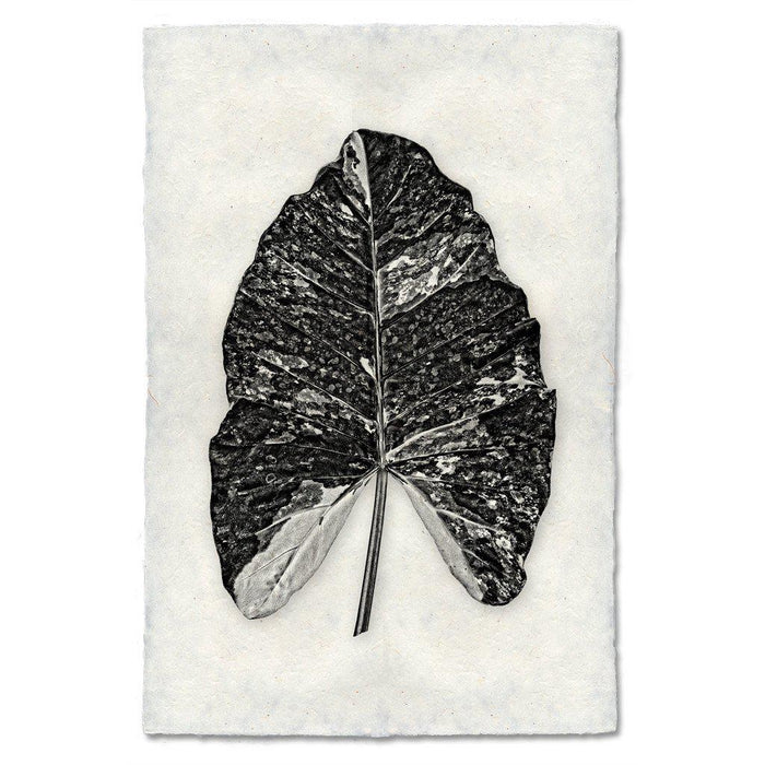 Arrowhead