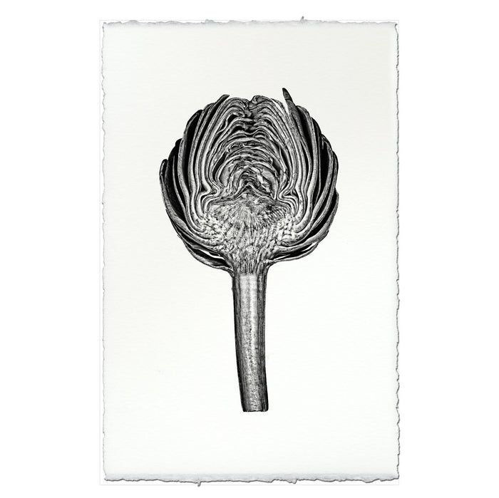 Artichoke