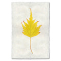 Birch Leaf fall leaves wall art print — fine art botanical photography on handmade paper, San Francisco