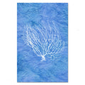 Black Coral Fan #2
