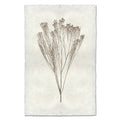 Broom natural forms wall art print — fine art natural forms photography on handmade paper, San Francisco