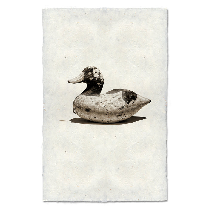 Bufflehead Decoy