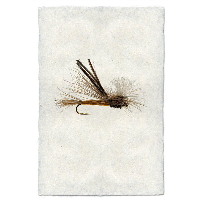 Bugmeister fly fishing wall art print — fine art fly fishing photography on handmade paper, San Francisco