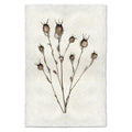 Bulb Form natural forms wall art print — fine art natural forms photography on handmade paper, San Francisco