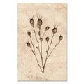 Bulb Form