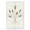Bunny Tails natural forms wall art print — fine art natural forms photography on handmade paper, San Francisco