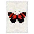 Butterfly #10
