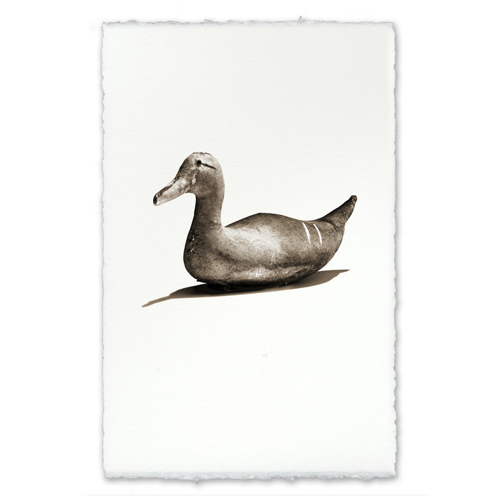 Canvas Decoy