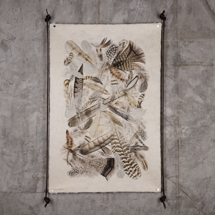 Collective Feathers Display (20"x30")