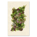 Collective Succulents grand format - 40x60" single sheet rag (natural)