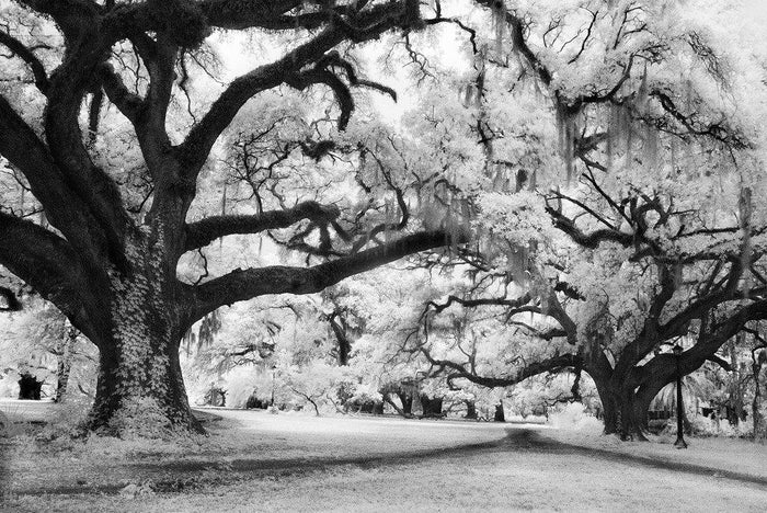 Convergence- New Orleans, LA