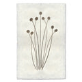 Craspedia natural forms wall art print — fine art natural forms photography on handmade paper, San Francisco