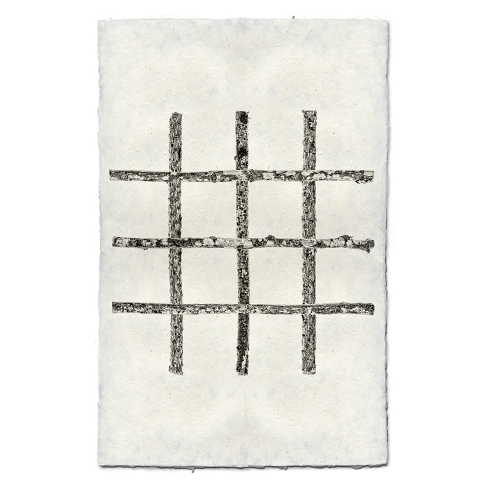 Crosshatch botanical wall art print — fine art minimalist photography on handmade paper, San Francisco