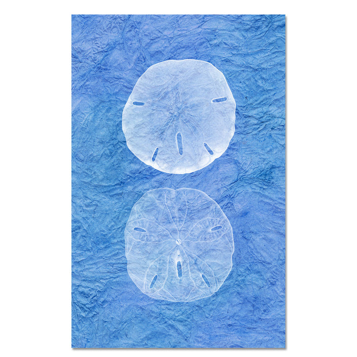 Double Sanddollar