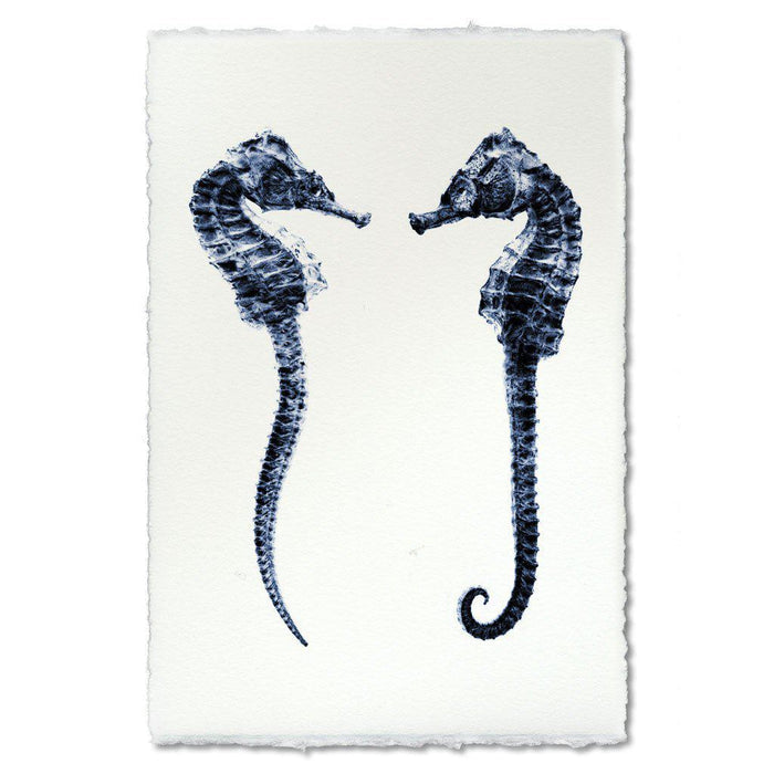 Double Seahorse coastal wall art print — fine art coastal photography on handmade paper, San Francisco