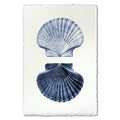 Double Shell coastal wall art print — fine art coastal photography on handmade paper, San Francisco