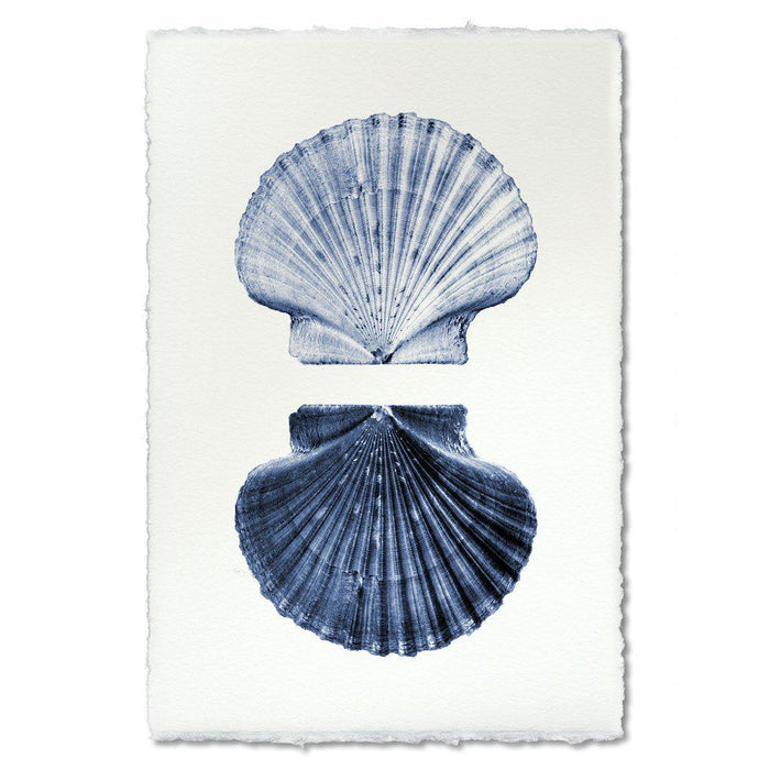 Double Shell coastal wall art print — fine art coastal photography on handmade paper, San Francisco