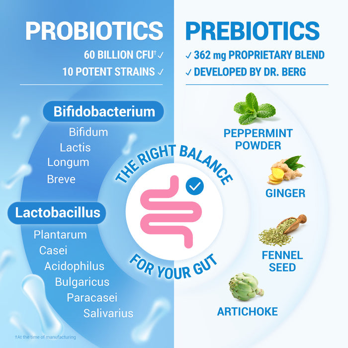 Diagram comparing probiotics and prebiotics, featuring images of ingredients like peppermint powder, ginger, fennel seed, artichoke, Bifidobacterium, and Lactobacillus, with text: 'The right balance for your gut'.