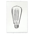 Edison Bulb