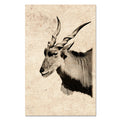 Eland