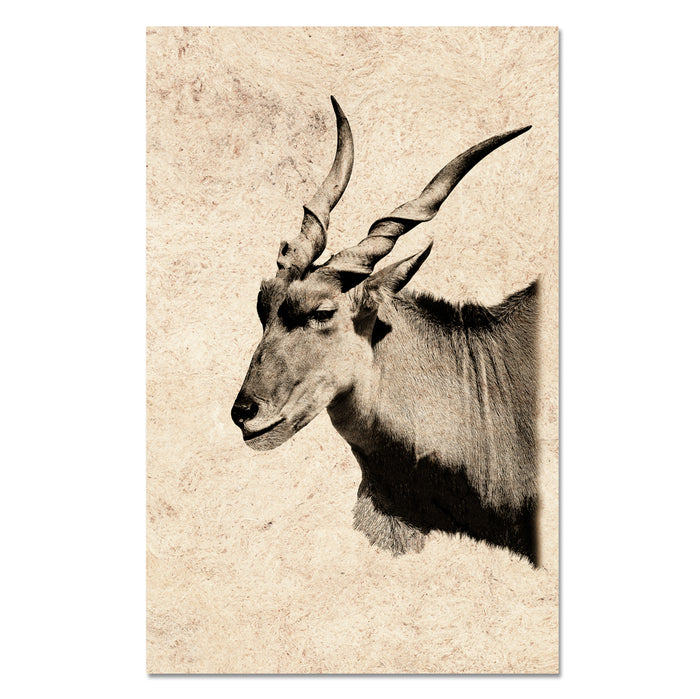 Eland