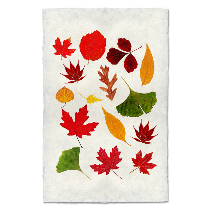 Fallen #2 fall leaves wall art print — fine art botanical photography on handmade paper, San Francisco