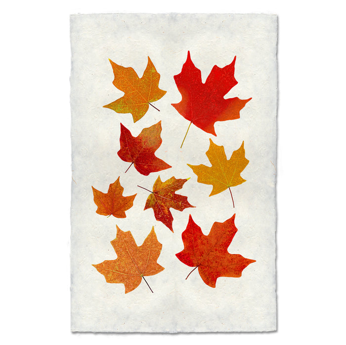 Fallen #4 fall leaves wall art print — fine art botanical photography on handmade paper, San Francisco