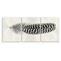Feather #13 Trilogy Horizontal