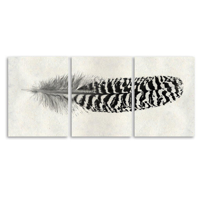 Feather #13 Trilogy Horizontal