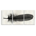 Feather #6 Trilogy Horizontal