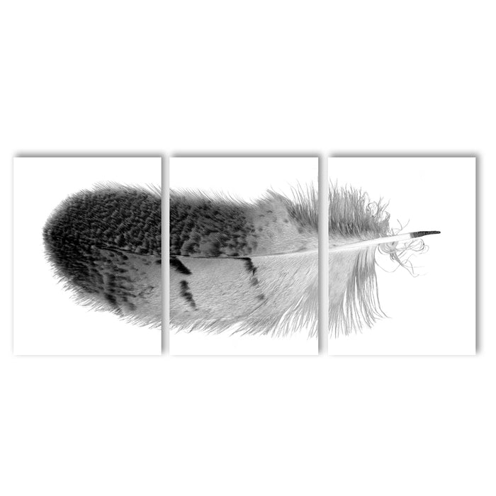 Feather #7 (Owl) Trilogy