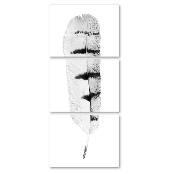 Feather #8 Trilogy Horizontal