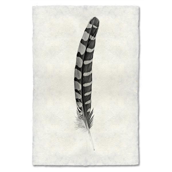 Feather Study #12 (Partridge Wing) black and white wall art print — fine art black and white photography on handmade paper, San Francisco