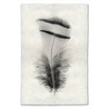 Feather Study #15 (Chukar Partridge) black and white wall art print — fine art black and white photography on handmade paper, San Francisco