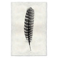 Feather Study #16 (Wild Turkey) black and white wall art print — fine art black and white photography on handmade paper, San Francisco