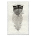 Feather Study #18 (Turkey) black and white wall art print — fine art black and white photography on handmade paper, San Francisco