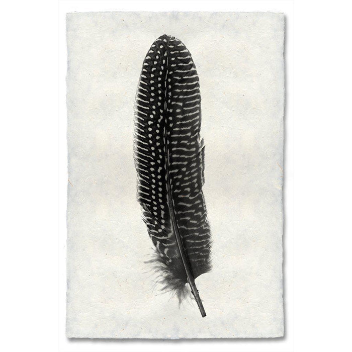 Feather Study #5 (Pheasant) black and white wall art print — fine art black and white photography on handmade paper, San Francisco