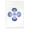 Five Scallops coastal wall art print — fine art coastal photography on handmade paper, San Francisco