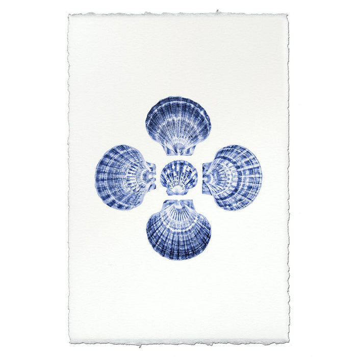 Five Scallops coastal wall art print — fine art coastal photography on handmade paper, San Francisco