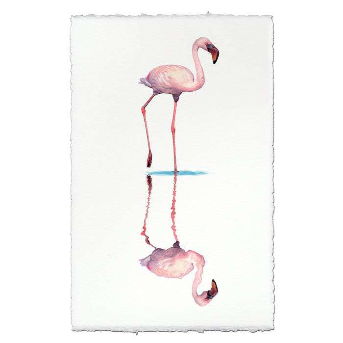 Flamingo #1 coastal wall art print — fine art coastal photography on handmade paper, San Francisco
