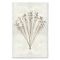 Flax natural forms wall art print — fine art natural forms photography on handmade paper, San Francisco