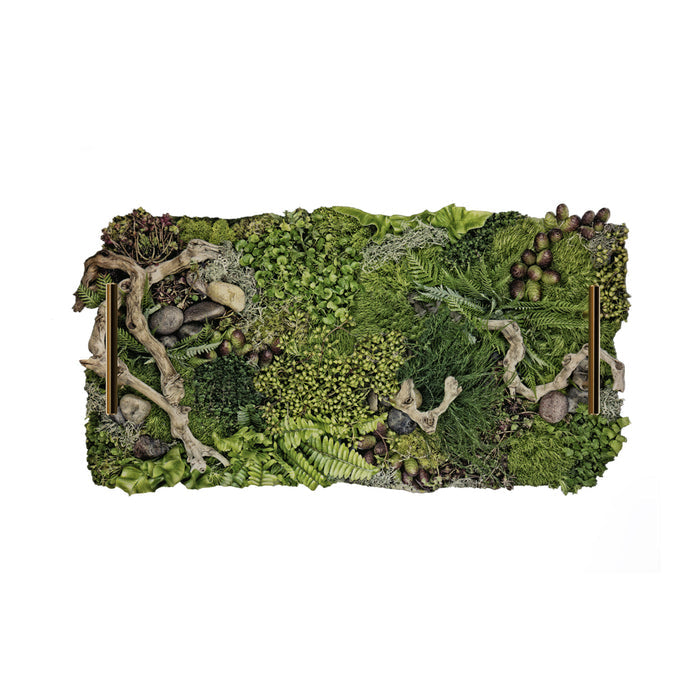 Forest Floor