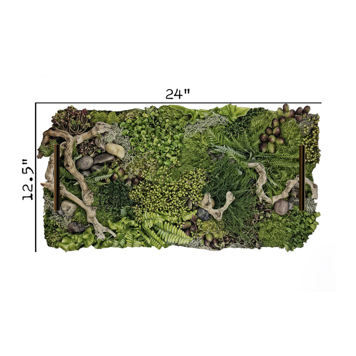 Forest Floor