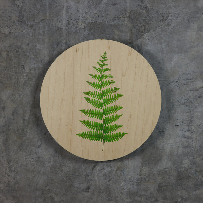 Geometrics - Ferns