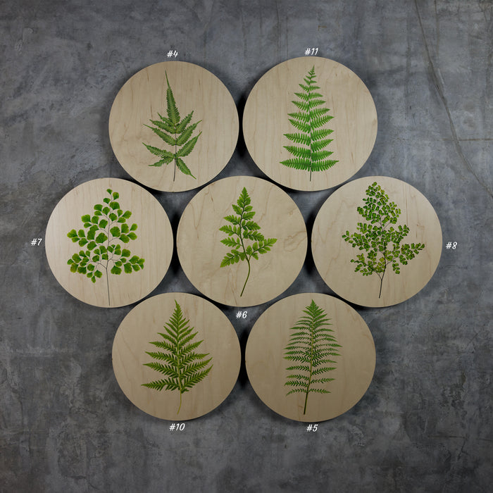 Geometrics - Ferns
