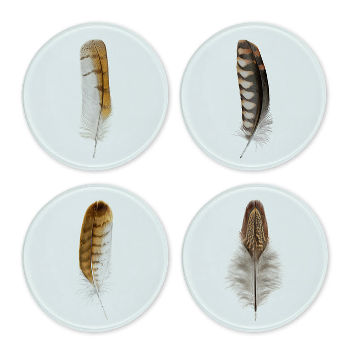 Glass Coasters (set of 4) - Colored Feathers