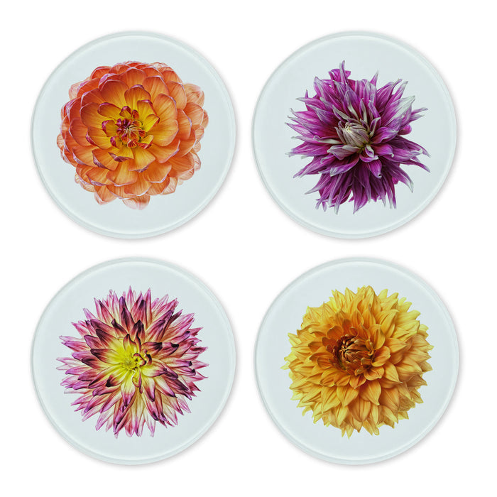 Glass Coasters (set of 4) - Dahlia
