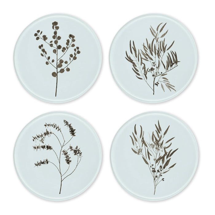 Glass Coasters (set of 4) - Eucalyptus